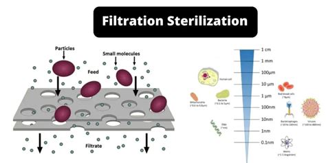 difference between autoclave and filtered|filter used for sterile filtration.